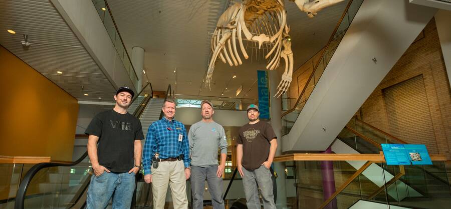 img_A night at the museum_additional_01_900x419