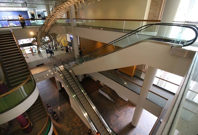 img_Denver_additional_03_784x535